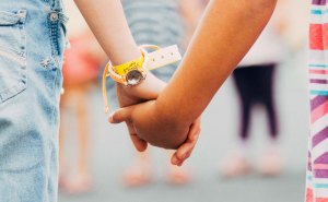 Source: Catskill Made at catskillmade.co 